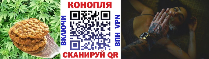 Еда ТГК марихуана  цена   Малая Вишера 