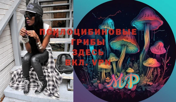 МДПВ Новосибирск