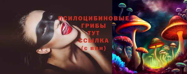 дмт Лабытнанги