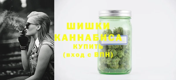 дмт Лабытнанги