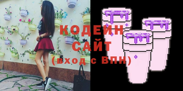 дмт Лабытнанги