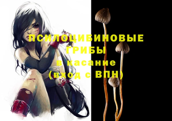 дмт Лабытнанги