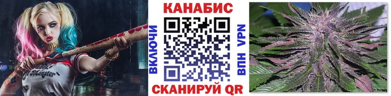 Шишки марихуана семена  Малая Вишера 